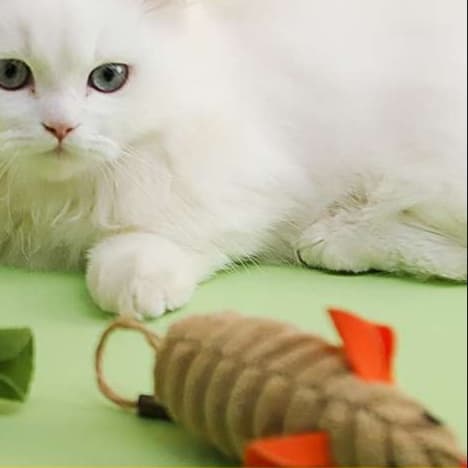 猫 おもちゃ ねずみさんの天然シナ麻猫じゃらし