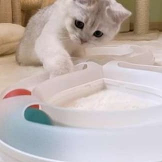 猫 おもちゃ 無限ループ型 玉転がし猫じゃらし