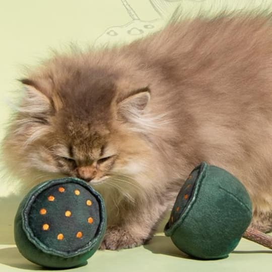猫 おもちゃ 開運蓮の実 猫じゃらし