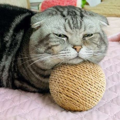 猫 おもちゃ 自然派麻玉 ころころ猫じゃらし