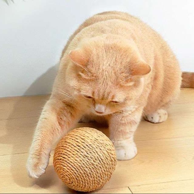 猫 おもちゃ 自然派麻玉 ころころ猫じゃらし