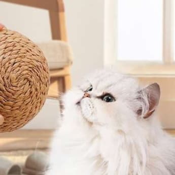 猫 おもちゃ 自然派麻玉 ころころ猫じゃらし