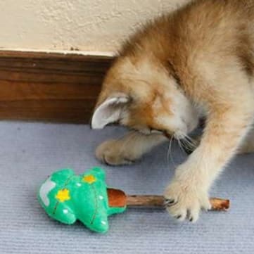 猫 おもちゃ クリスマス限定！お散歩スティック