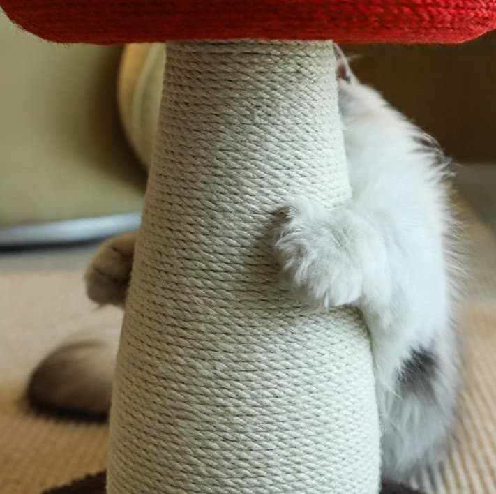 猫 おもちゃ きのこ型 麻縄 猫じゃらし