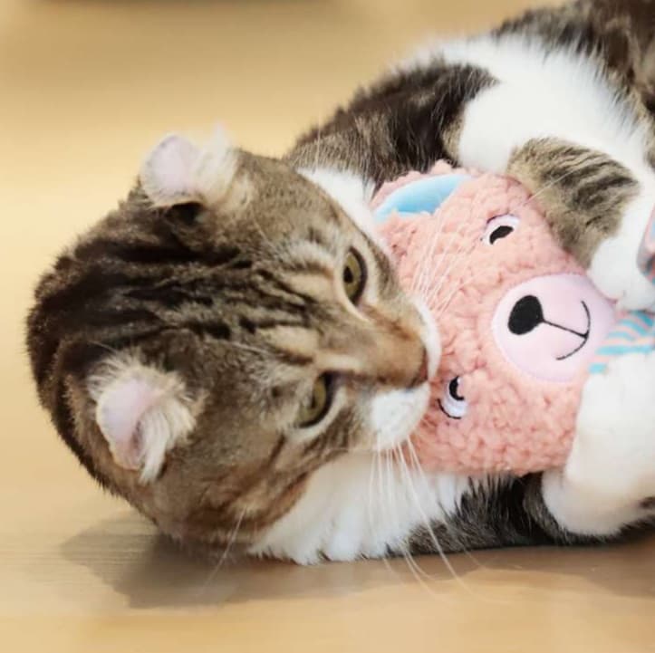 猫 おもちゃ もふもふぬいぐるみ猫じゃらし