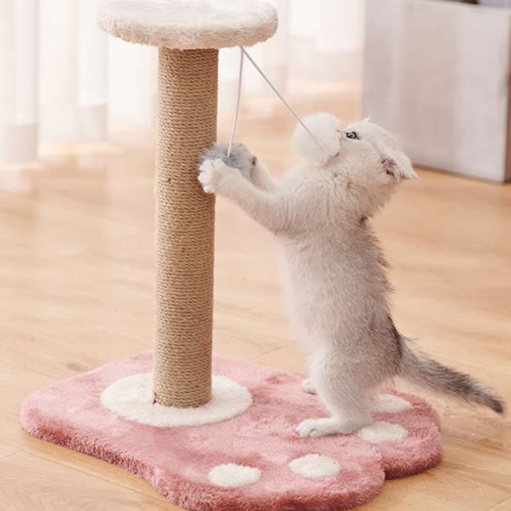 猫 おもちゃ お手軽ポールキャッチャー