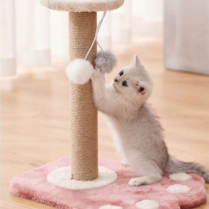 猫 おもちゃ お手軽ポールキャッチャー