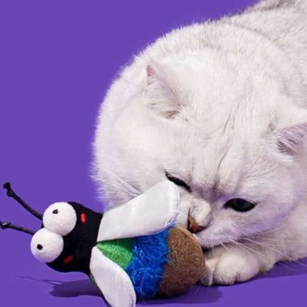 猫 おもちゃ むし型の猫じゃらし 遊びがいっぱい