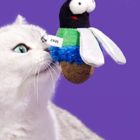 猫 おもちゃ むし型の猫じゃらし 遊びがいっぱい