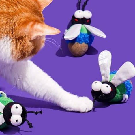 猫 おもちゃ むし型の猫じゃらし 遊びがいっぱい