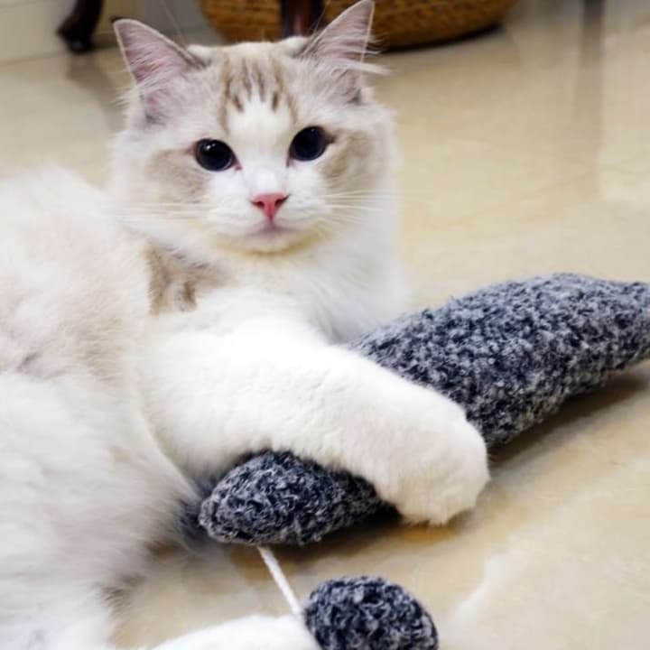 猫 おもちゃ もふもふしっぽの癒し猫じゃらし
