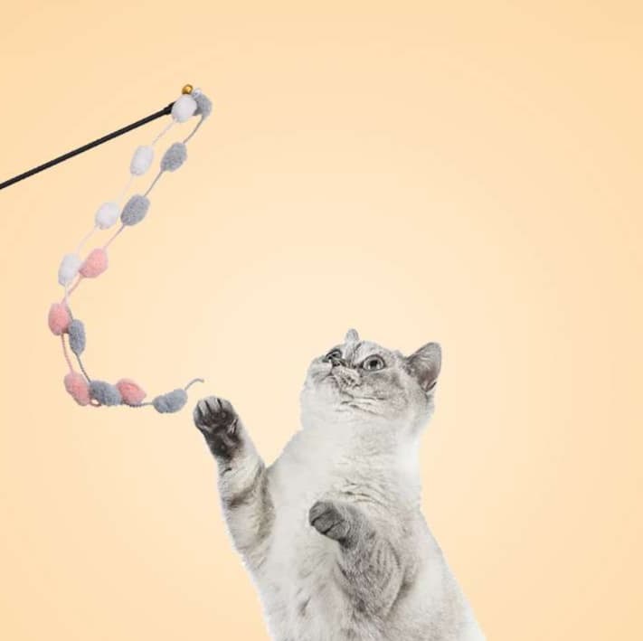 猫 おもちゃ もふもふ玉つぶし猫じゃらし
