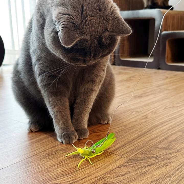 猫 おもちゃ バッタの猫じゃらし