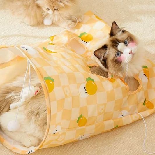 猫 おもちゃ トンネルチューブ おうちで遊ぼう猫じゃらし