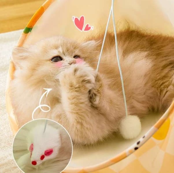 猫 おもちゃ トンネルチューブ おうちで遊ぼう猫じゃらし