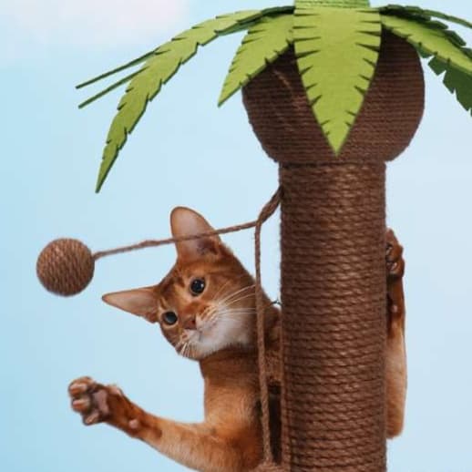 猫 おもちゃ ヤシの木風 癒やしの猫じゃらしポール