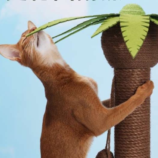 猫 おもちゃ ヤシの木風 癒やしの猫じゃらしポール