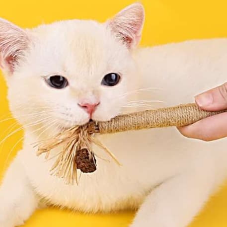 猫 おもちゃ 猫の歯磨きにもなる麻縄天然またたびスティック