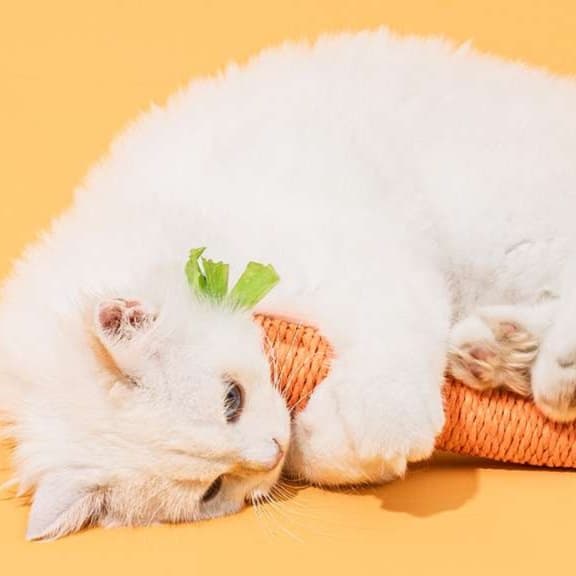 猫 おもちゃ にんじんスティック 猫じゃらし