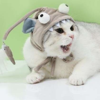 猫 おもちゃ おさかな帽子付き猫じゃらし