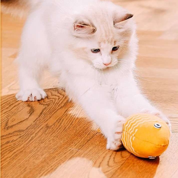 猫 おもちゃ 波模様のさかなさん猫じゃらし