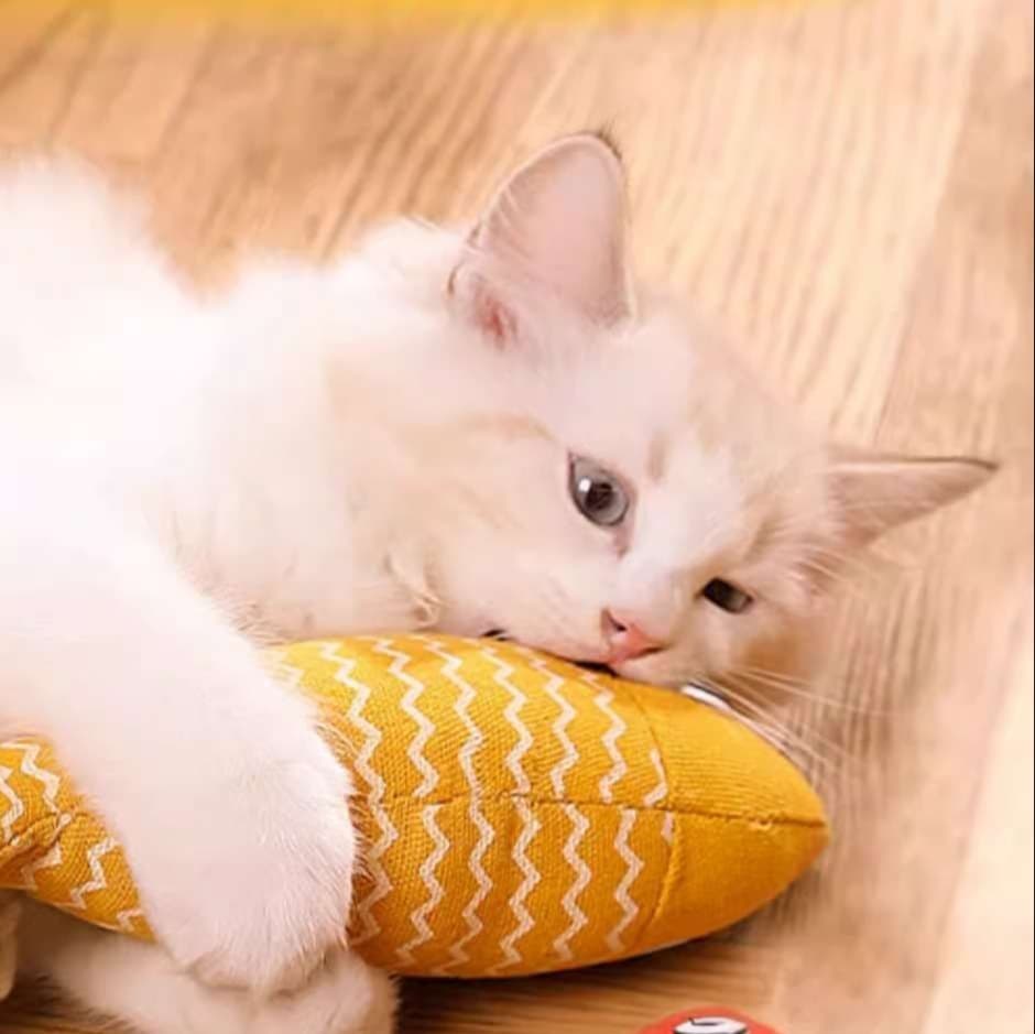 猫 おもちゃ 波模様のさかなさん猫じゃらし
