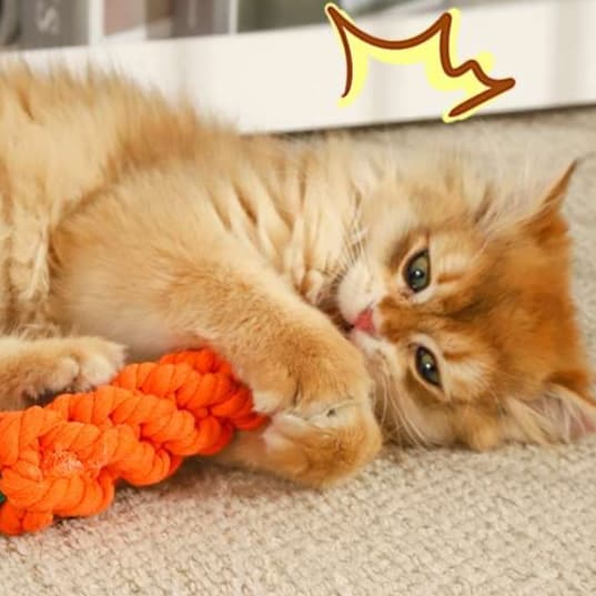 猫 おもちゃ にゃんこ歯磨き ニンジンじゃらし