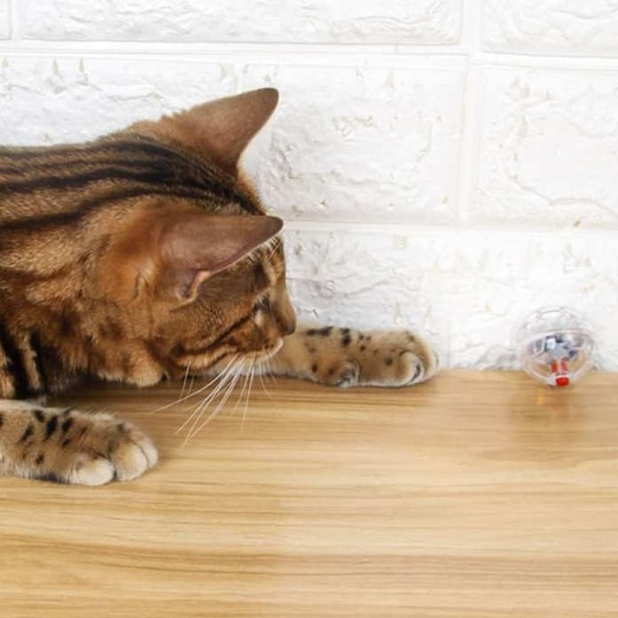 猫 おもちゃ 光る玉のキャットトーイ