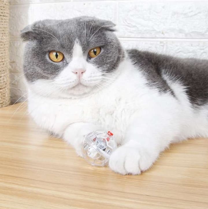 猫 おもちゃ 光る玉のキャットトーイ