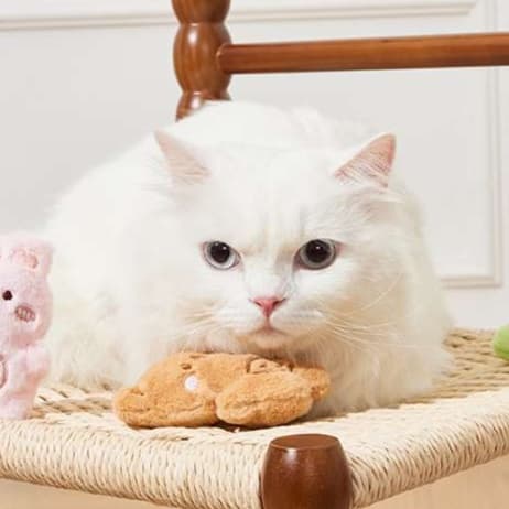 猫 おもちゃ もふもふ癒やし動物団 猫じゃらし