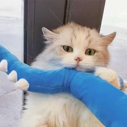 猫 おもちゃ 恐竜のしっぽ形 猫じゃらし