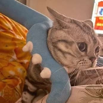 猫 おもちゃ 恐竜のしっぽ形 猫じゃらし