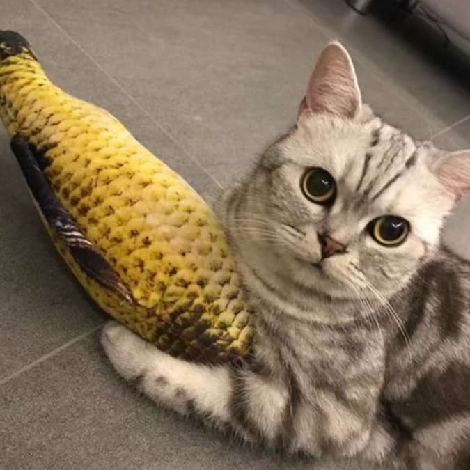 猫 おもちゃ リアル魚型けりぐるみ猫じゃらし