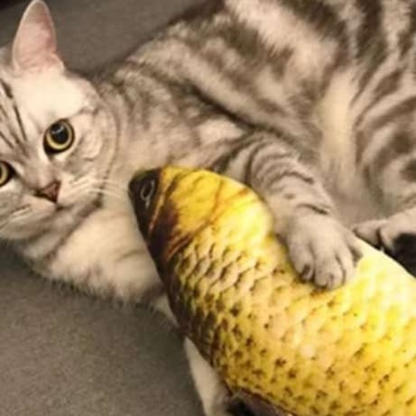 猫 おもちゃ リアル魚型けりぐるみ猫じゃらし