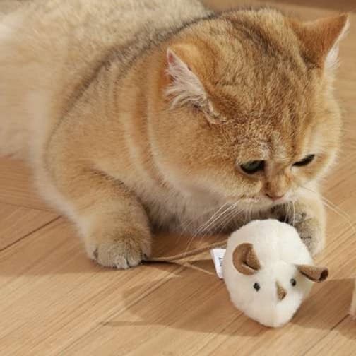 猫 おもちゃ ねずみさんの猫じゃらし