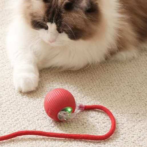 猫 おもちゃ 光る おもちゃ ころがし 猫じゃらし