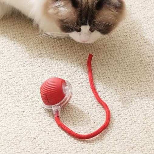 猫 おもちゃ 光る おもちゃ ころがし 猫じゃらし