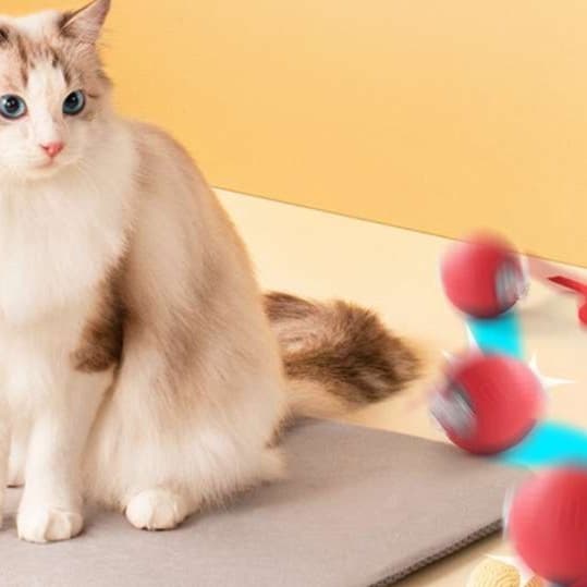 猫 おもちゃ 光る おもちゃ ころがし 猫じゃらし