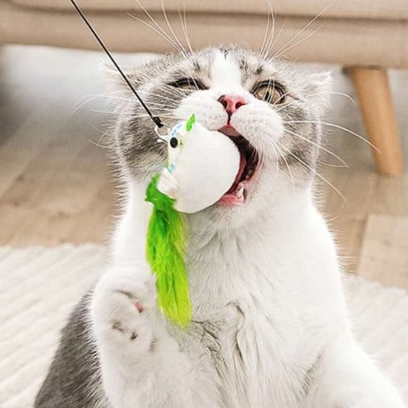猫 おもちゃ 天然羽根のしなやか猫じゃらし