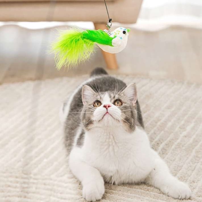 猫 おもちゃ 天然羽根のしなやか猫じゃらし