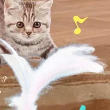猫 おもちゃ くるくるヒヨコちゃん猫じゃらし