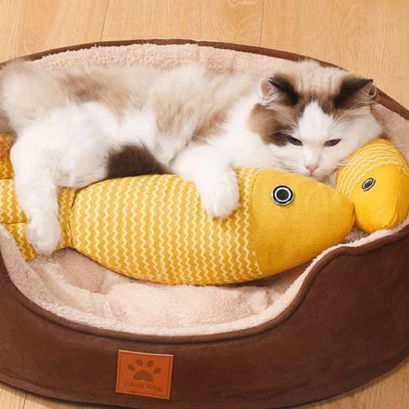 猫 おもちゃ もちふぃっしゅ 癒しの抱き枕