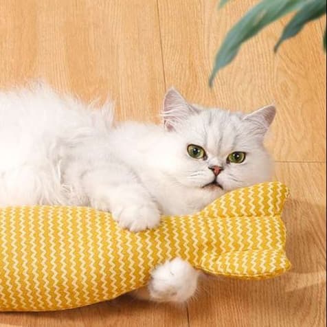 猫 おもちゃ もちふぃっしゅ 癒しの抱き枕