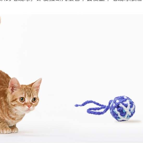 猫 おもちゃ もこもこ毛糸玉の猫じゃらし
