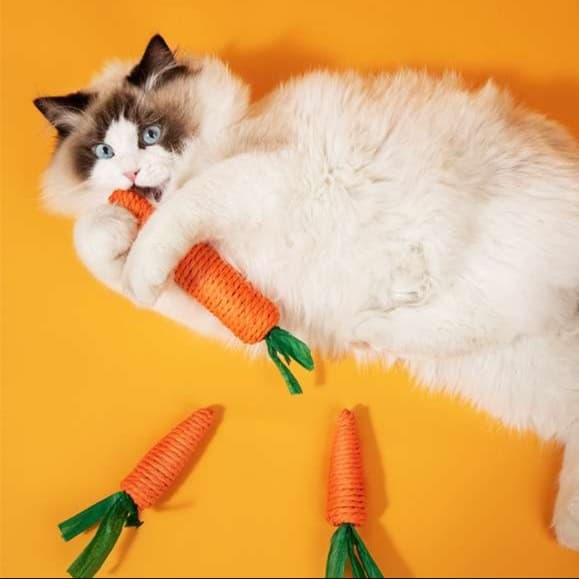猫 おもちゃ にんじんシャカシャカ おさかな猫じゃらし