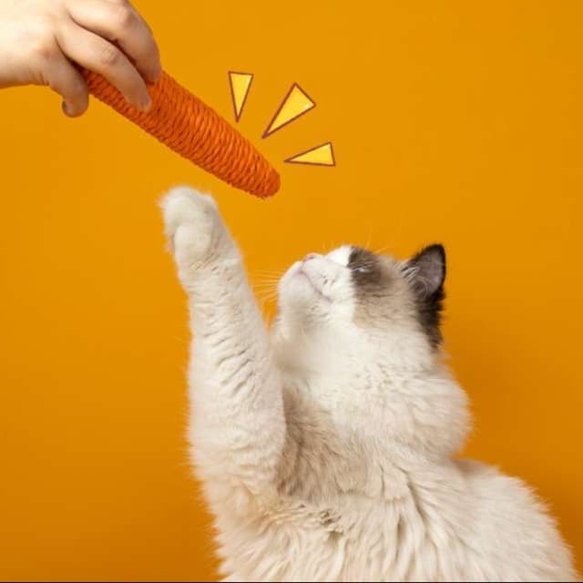 猫 おもちゃ にんじんシャカシャカ おさかな猫じゃらし