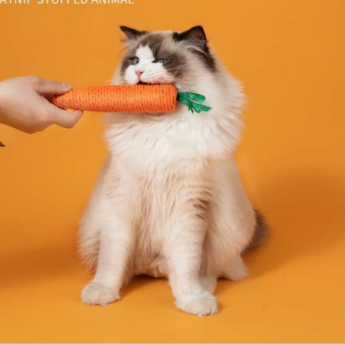 猫 おもちゃ にんじんシャカシャカ おさかな猫じゃらし
