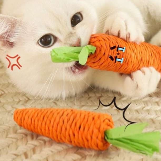 猫 おもちゃ にんじんさん猫じゃらし