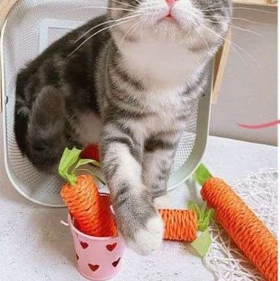 猫 おもちゃ にんじんさん猫じゃらし