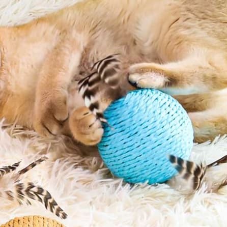 猫 おもちゃ ふわもこ羽根玉 猫じゃらし